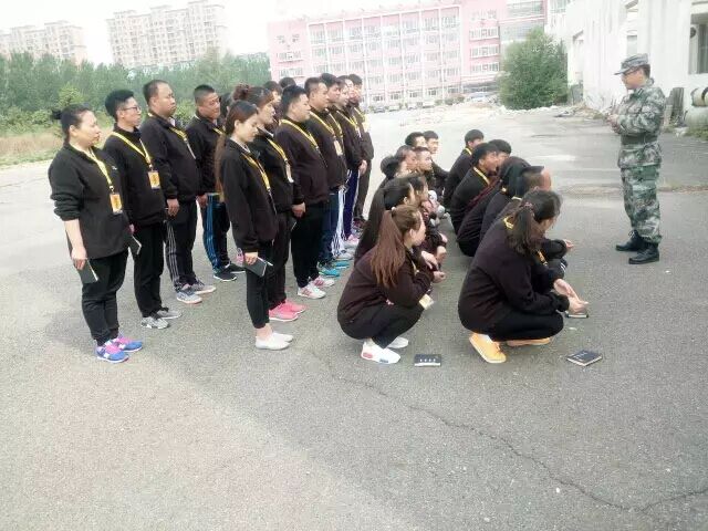 1463539330769063hp33.jpg 1.jpg