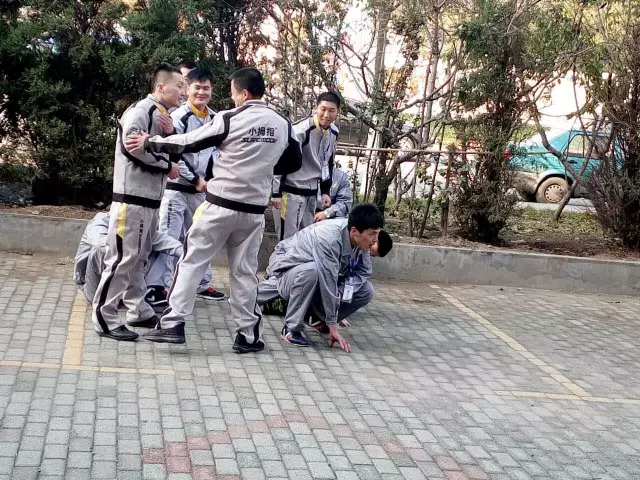 1478575809591041p485.png 3.png