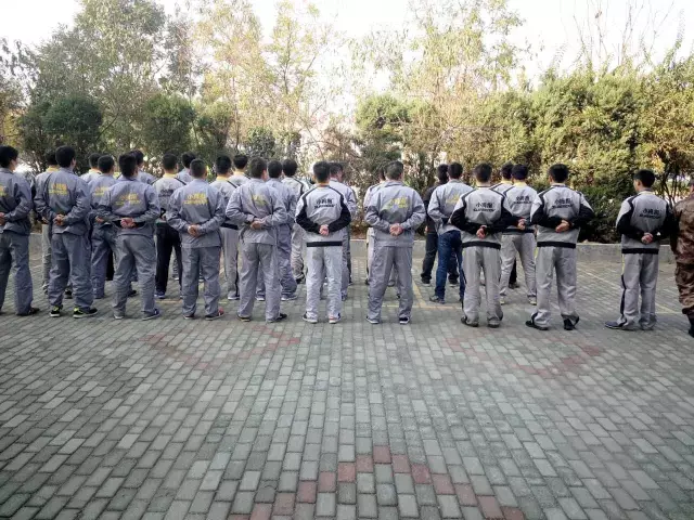 1478575820971227p486.png 4.png