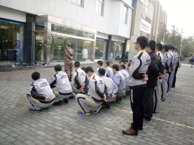 14839313169509161227.png 1.png