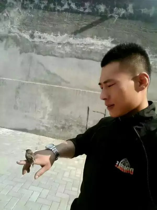 148462170021627714F0.png 1_副本.png