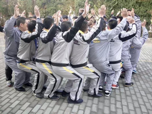 148462175195345514F3.png 3.png