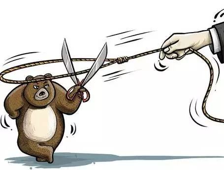 148513888611313917C5.png 1.png