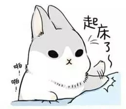 1494486448216794p185.jpg 640.webp (11).jpg