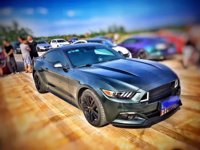 1498110029353333pC37.jpg 640.webp (30).jpg