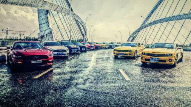 1498110051111370pC38.jpg 640.webp (31).jpg