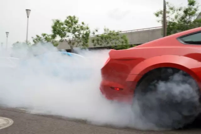 1498110150142435pC3A.jpg 640.webp (33).jpg