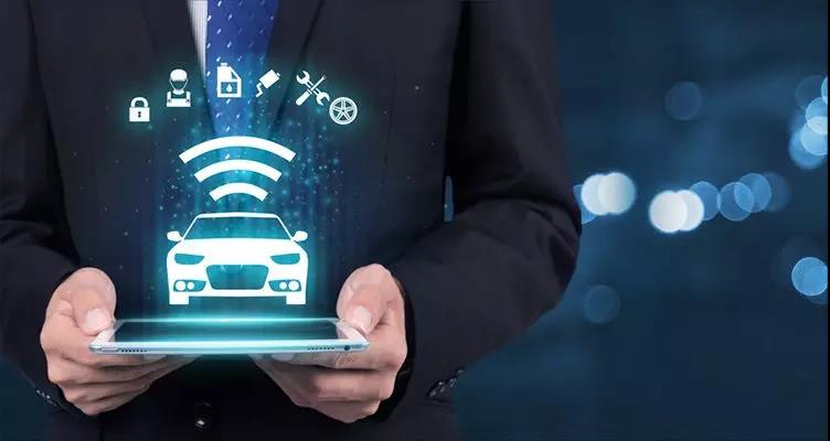 151503146151810271E6.jpg 04.jpg