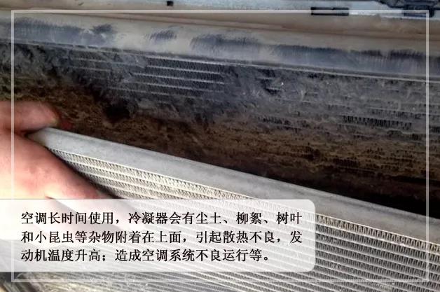 155650961211614735DF.jpg f.jpg