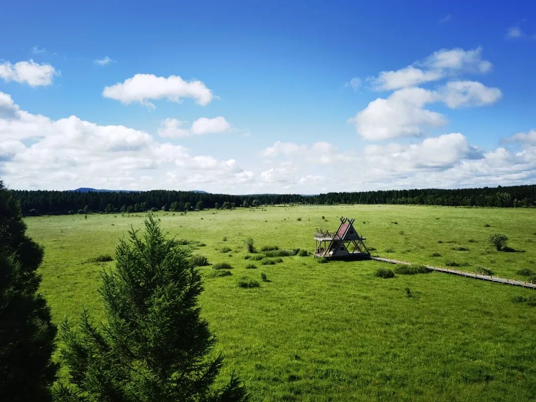 1663727182853621A995.jpg 1663727182853621A995.jpg