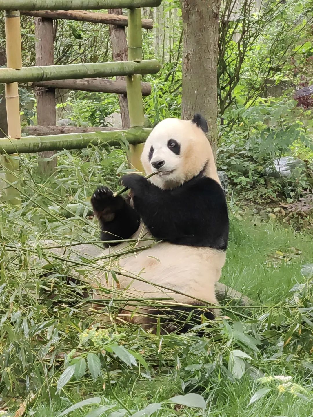 1663727514714155B980.jpg 1663727514714155B980.jpg