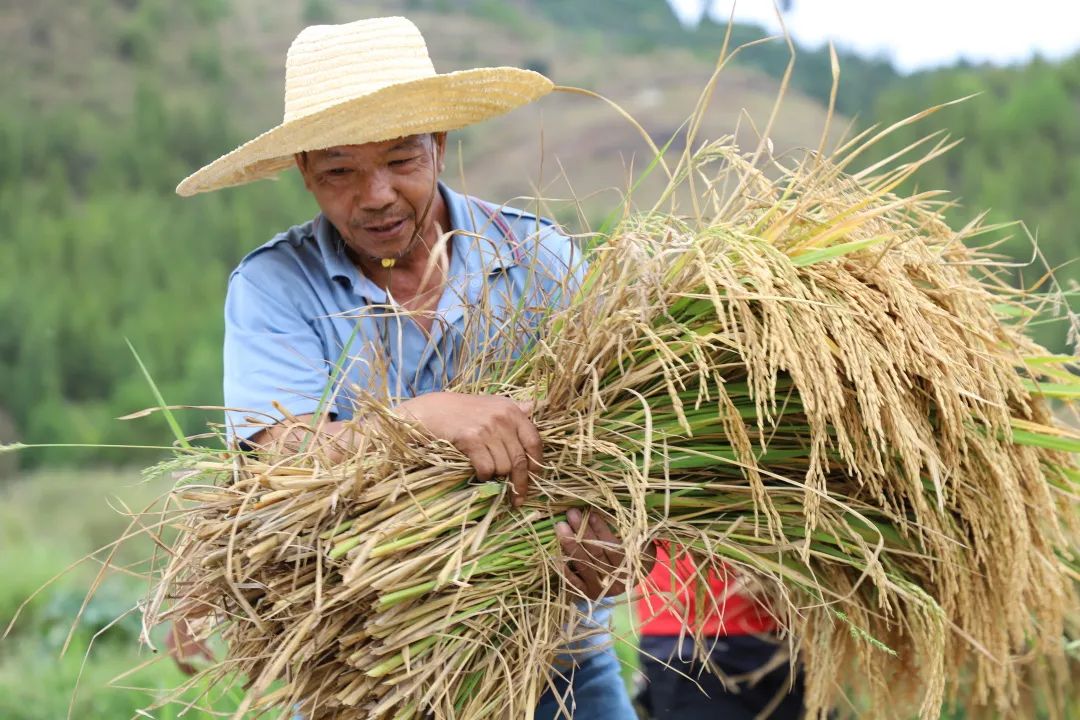 1673402648111985EB49.jpg 1673402648111985EB49.jpg