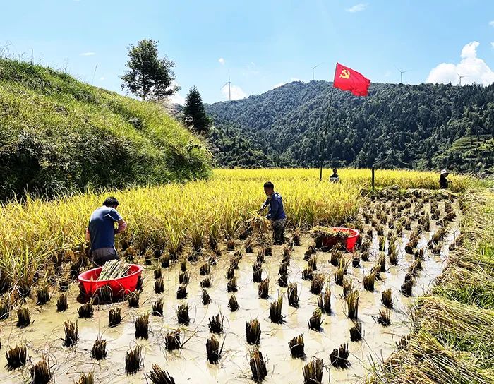 1673402700119994B54D.jpg 1673402700119994B54D.jpg