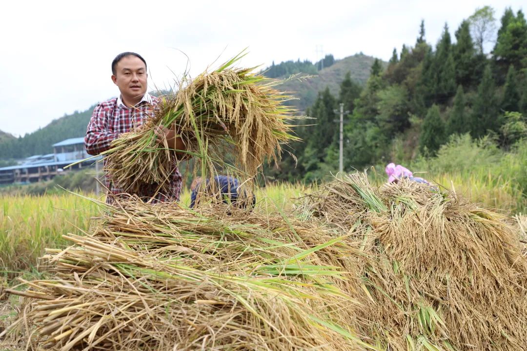 16734027443999806313.jpg 16734027443999806313.jpg